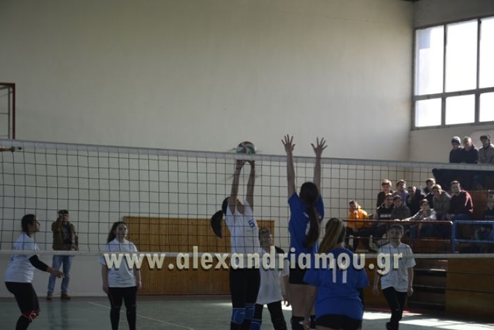 volley_1o-alexandreias-melikis2018 (69)